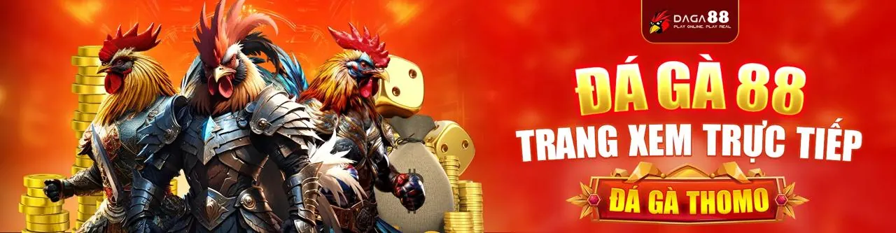 Đá Gà Trực Tuyến Kim8899